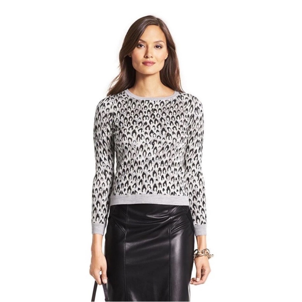 Diane‎ Von Furstenburg DVF Leopard Dance Sweater